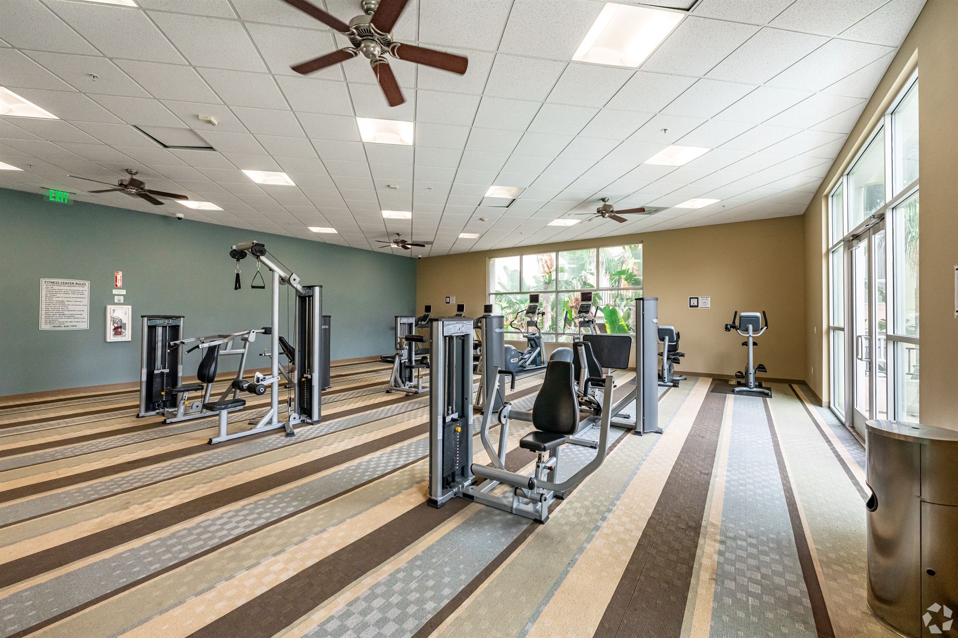 Elite Fitness