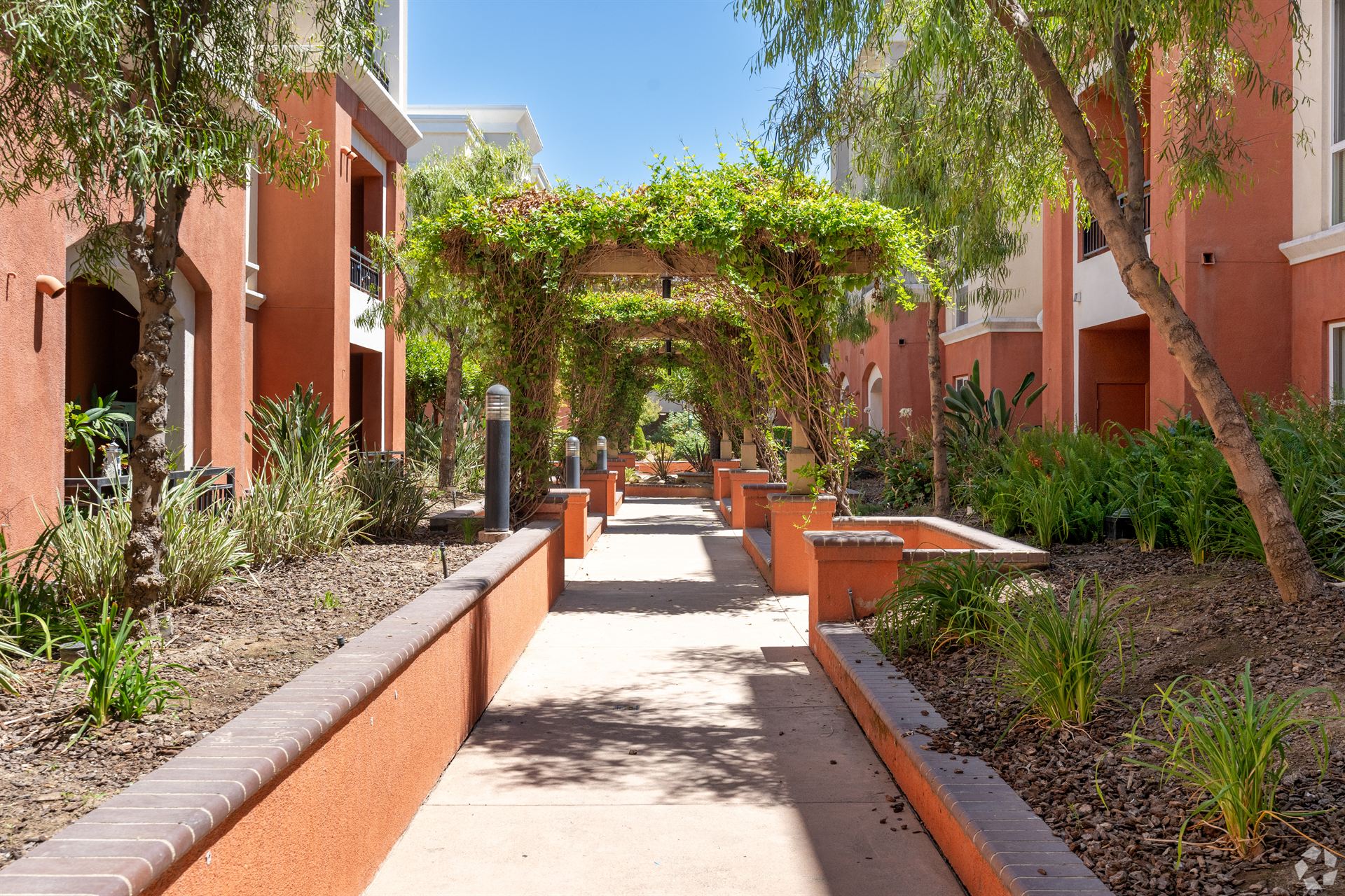 Lush Courtyard